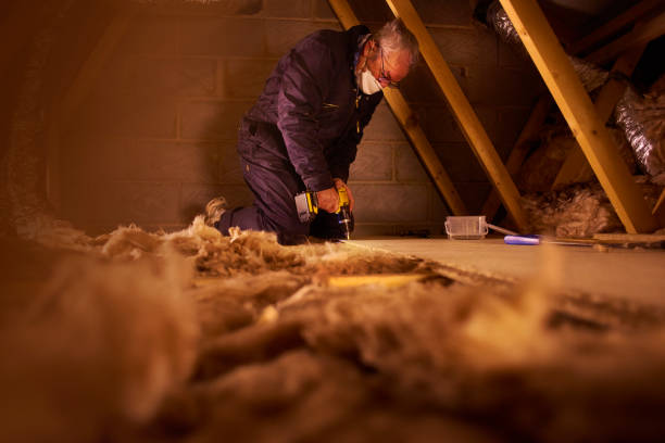Best Cellulose Insulation in Solvang, CA